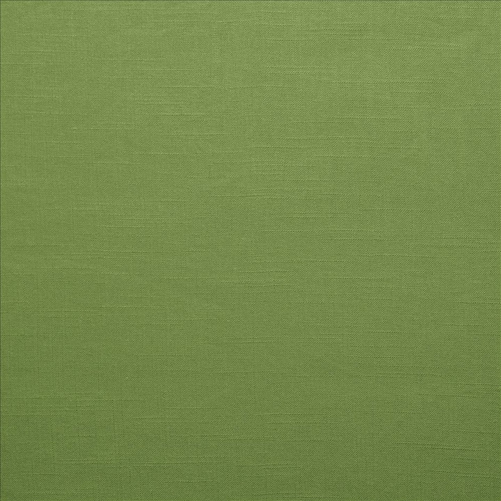 Brandenburg Kelly Green by Kasmir Fabric 5178 55% Linen
45% Viscose
 CHINA </p><p>Repeat: Horizontal: N/A and Vertical: N/A 54 - Fabric Carolina -