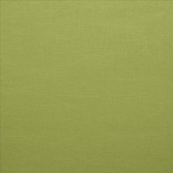 Brandenburg Palm by Kasmir Fabric 5178 55% Linen
45% Viscose
 CHINA 12,000 Wyzenbeek Double Rubs </p><p>Repeat: Horizontal: N/A and Vertical: N/A 54 - Fabric Carolina -