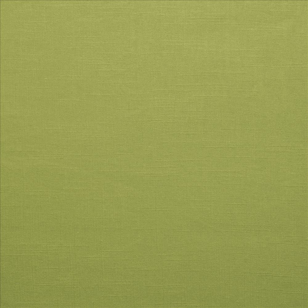 Brandenburg Palm by Kasmir Fabric 5178 55% Linen
45% Viscose
 CHINA </p><p>Repeat: Horizontal: N/A and Vertical: N/A 54 - Fabric Carolina -