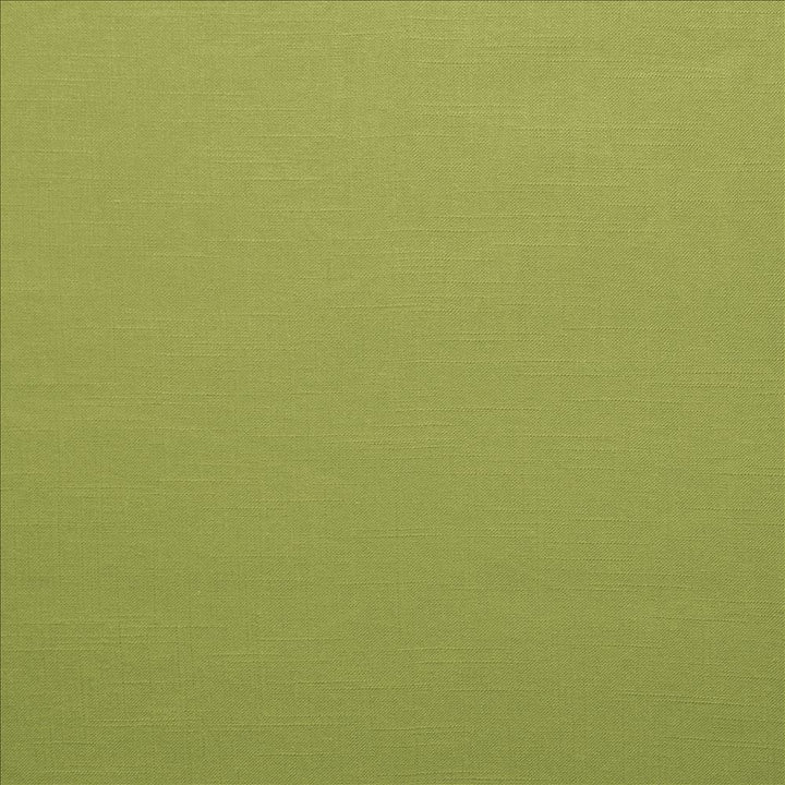 Brandenburg Palm by Kasmir Fabric 5178 55% Linen
45% Viscose
 CHINA </p><p>Repeat: Horizontal: N/A and Vertical: N/A 54 - Fabric Carolina -