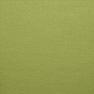 Brandenburg Palm by Kasmir Fabric