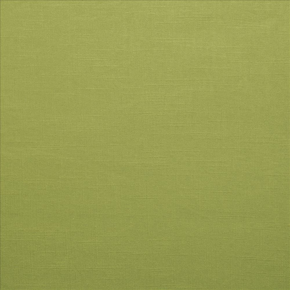 Brandenburg Palm by Kasmir Fabric 5178 55% Linen
45% Viscose
 CHINA 12,000 Wyzenbeek Double Rubs </p><p>Repeat: Horizontal: N/A and Vertical: N/A 54 - Fabric Carolina -