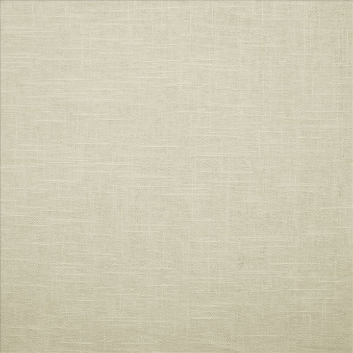 Brandenburg Pearl Grey by Kasmir Fabric 5178 55% Linen
45% Viscose
 CHINA </p><p>Repeat: Horizontal: N/A and Vertical: N/A 54 - Fabric Carolina -