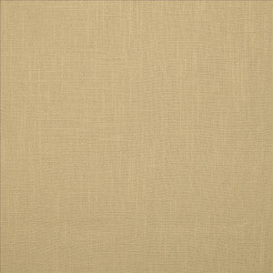 Brandenburg Raffia by Kasmir Fabric