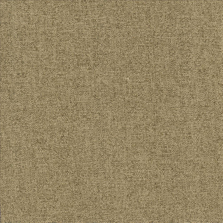 Brandon Mushroom by Kasmir Fabric 5159 100% Polyester
 CHINA 50,000 Wyzenbeek Double Rubs Horizontal: N/A and Vertical: N/A 54 - Fabric Carolina -