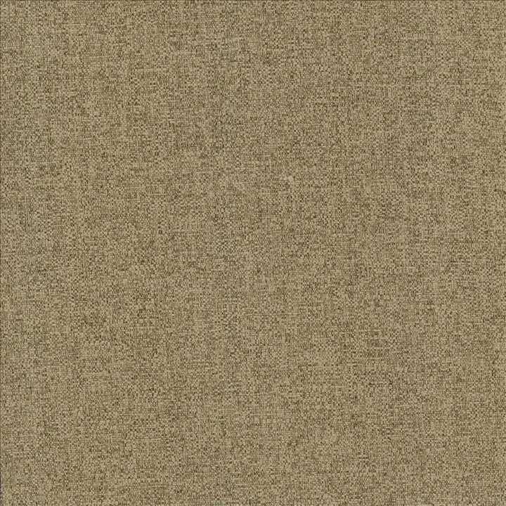 Brandon Mushroom by Kasmir Fabric 5159 100% Polyester CHINA 50,000 Wyzenbeek Double Rubs Horizontal: 0 Inches and Vertical: 0 Inches 54 - Fabric Carolina -