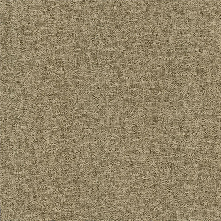 Brandon Mushroom by Kasmir Fabric 5159 100% Polyester
 CHINA </p><p>Repeat: Horizontal: N/A and Vertical: N/A 54 - Fabric Carolina -
