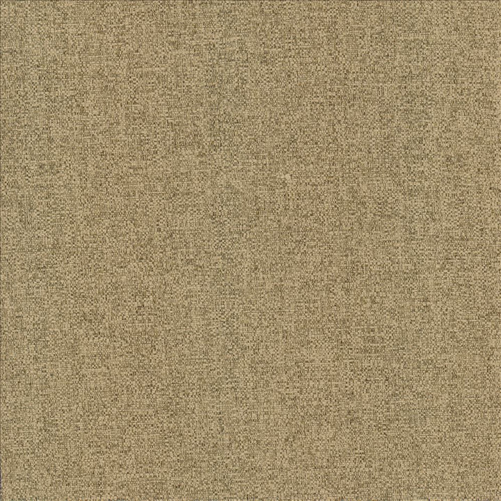Brandon Mushroom by Kasmir Fabric 5159 100% Polyester
 CHINA </p><p>Repeat: Horizontal: N/A and Vertical: N/A 54 - Fabric Carolina -