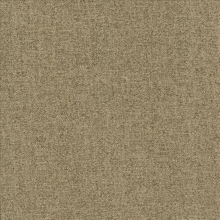 Brandon Mushroom by Kasmir Fabric 5159 100% Polyester
 CHINA 50,000 Wyzenbeek Double Rubs </p><p>Repeat: Horizontal: N/A and Vertical: N/A 54 - Fabric Carolina -