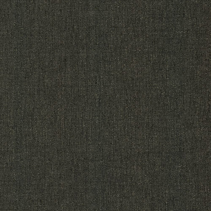 Brandon Storm by Kasmir Fabric 5159 100% Polyester CHINA 50,000 Wyzenbeek Double Rubs Horizontal: 0 Inches and Vertical: 0 Inches 54 - Fabric Carolina -