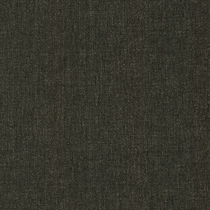 Brandon Storm by Kasmir Fabric 5159 100% Polyester
 CHINA 50,000 Wyzenbeek Double Rubs Horizontal: N/A and Vertical: N/A 54 - Fabric Carolina -