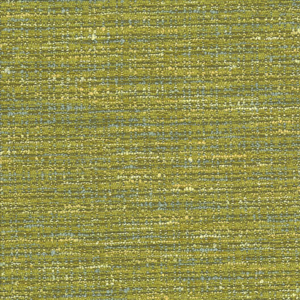 Branford Palm by Kasmir Fabric 1442 66% Polyester
26% Acrylic
8% Cotton
 TURKEY 50,000 Wyzenbeek Double Rubs Horizontal: 15 inches and Vertical: 13 inches 54 - Fabric Carolina -
