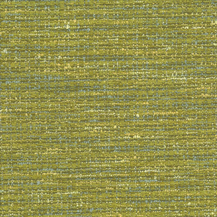 Branford Palm by Kasmir Fabric 1442 66% Polyester
26% Acrylic
8% Cotton
 TURKEY 50,000 Wyzenbeek Double Rubs Horizontal: 15 inches and Vertical: 13 inches 54 - Fabric Carolina -