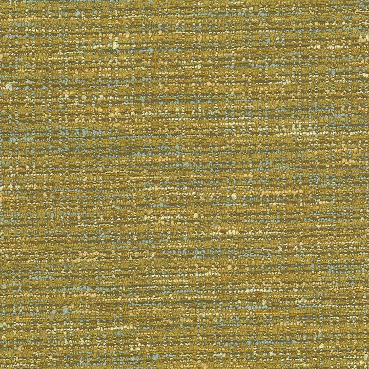 Branford Palm by Kasmir Fabric 1442 66% Polyester 26% Acrylic 8% Cotton TURKEY 50,000 Wyzenbeek Double Rubs H: 15 inches, V:13 inches 54 - Fabric Carolina - Kasmir