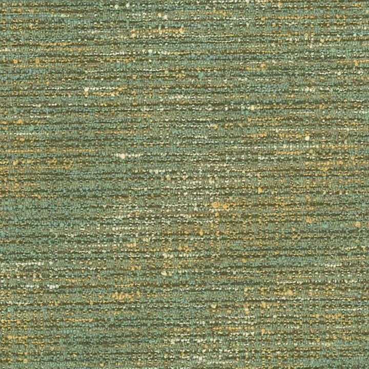 Branford Seagrass by Kasmir Fabric 1442 66% Polyester
26% Acrylic
8% Cotton
 TURKEY </p><p>Repeat: Horizontal: 15 inches and Vertical: 13 inches 54 - Fabric Carolina -