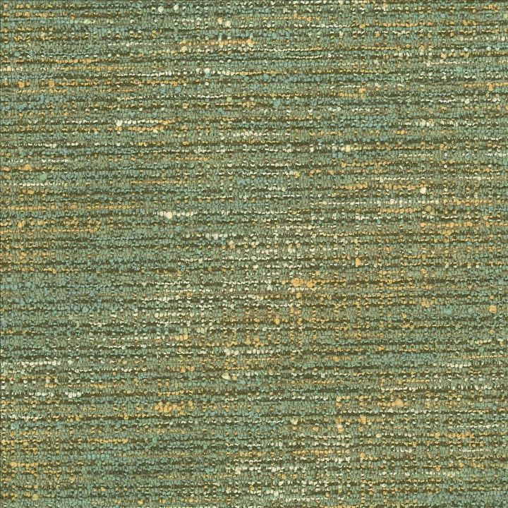 Branford Seagrass by Kasmir Fabric 1442 66% Polyester
26% Acrylic
8% Cotton
 TURKEY </p><p>Repeat: Horizontal: 15 inches and Vertical: 13 inches 54 - Fabric Carolina -