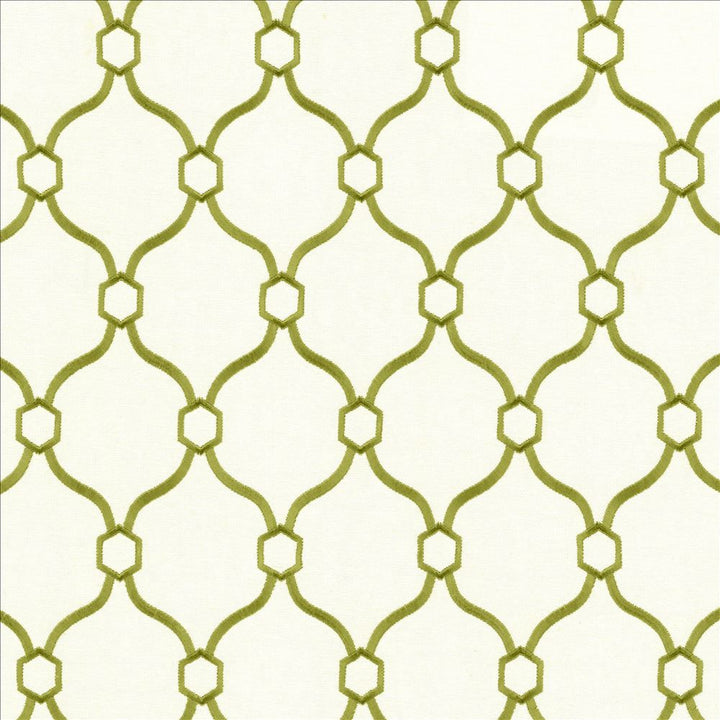 Braxton Grass by Kasmir Fabric 5124 32% Viscose
30% Polyester
26% Linen
12% Rayon
 CHINA </p><p>Repeat: Horizontal: 3 6/8 inches and Vertical: 5 inches 54 - Fabric Carolina -