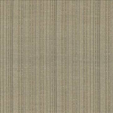 Breathless Cashew by Kasmir Fabric 5031 100% Polyester CHINA Not Tested H: N/A, V: N/A 58 - 59 - Fabric Carolina - Kasmir