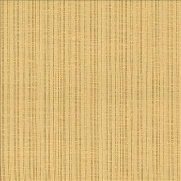 Breathless Chutney by Kasmir Fabric 5031 100% Polyester CHINA Not Tested H: N/A, V: N/A 58 - 59 - Fabric Carolina - Kasmir