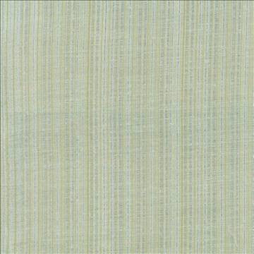 Breathless Cucumber by Kasmir Fabric 5031 100% Polyester CHINA Not Tested H: N/A, V: N/A 58 - 59 - Fabric Carolina - Kasmir