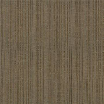 Breathless Pecan by Kasmir Fabric 5031 100% Polyester CHINA Not Tested H: N/A, V: N/A 58 - 59 - Fabric Carolina - Kasmir