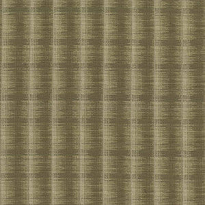 Breezr Stripe Io Earth by Kasmir Fabric