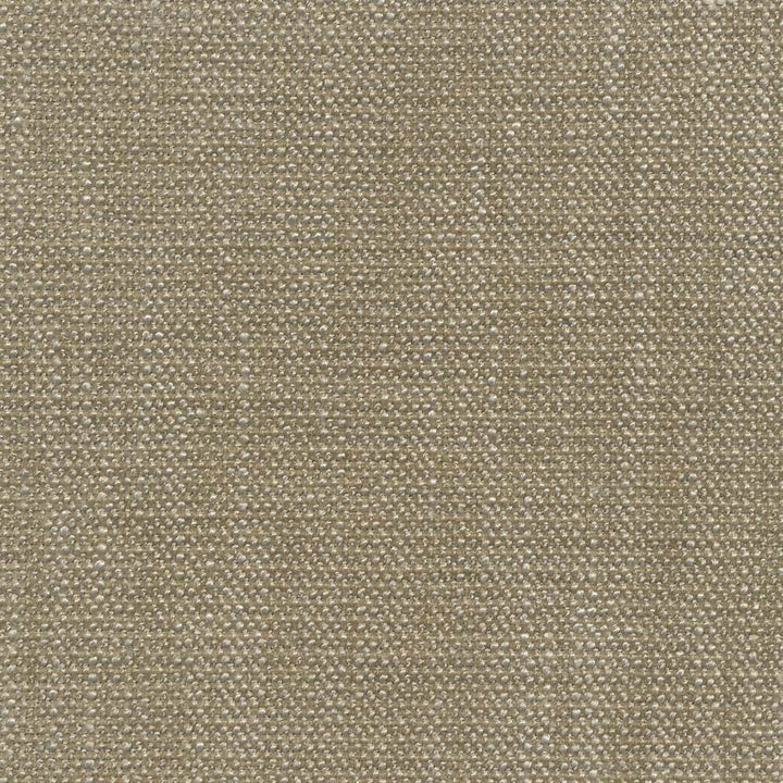 Brentwood Dove by Kasmir Fabric 1369 67% Polyester 19% Cotton 14% Viscose INDIA 50,000 Wyzenbeek Double Rubs H: N/A, V:N/A 55 - Fabric Carolina - Kasmir