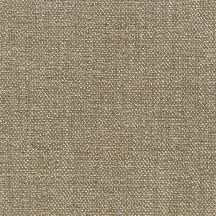 Brentwood Dove by Kasmir Fabric 1369 67% Polyester
19% Cotton
14% Viscose
 INDIA </p><p>Repeat: Horizontal: N/A and Vertical: N/A 55 - Fabric Carolina -