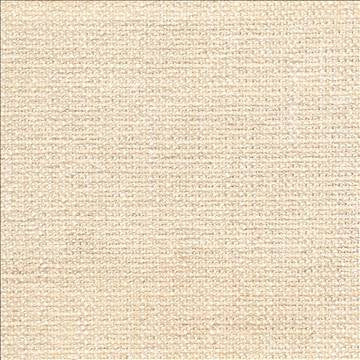 Brentwood Ivory by Kasmir Fabric 1367 67% Polyester 19% Cotton 14% Viscose INDIA 50,000 Wyzenbeek Double Rubs H: N/A, V: N/A 55 - Fabric Carolina - Kasmir