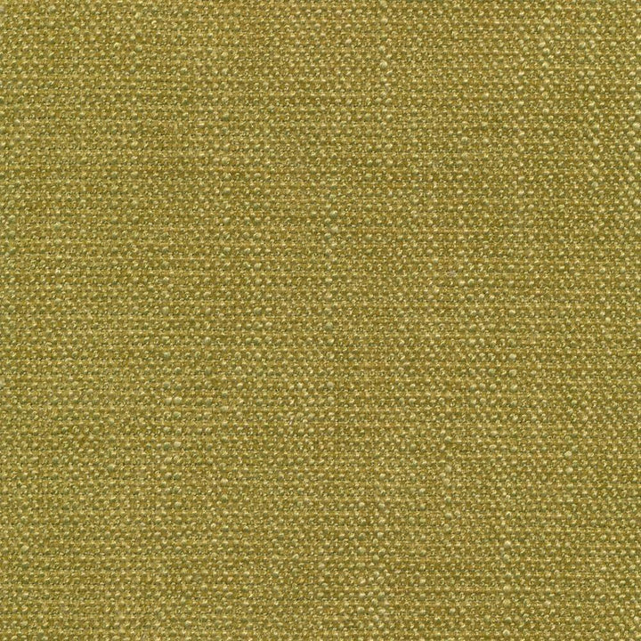 Brentwood Spring by Kasmir Fabric 1367 67% Polyester 19% Cotton 14% Viscose INDIA 50,000 Wyzenbeek Double Rubs H: N/A, V:N/A 55 - Fabric Carolina - Kasmir