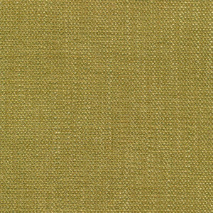 Brentwood Spring by Kasmir Fabric