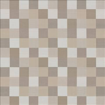 Brewster Check Driftwood by Kasmir Fabric 1437 100% Polyester TURKEY Not Tested H: 13 4/8 inches, V: 14 7/8 inches 58 - Fabric Carolina - Kasmir