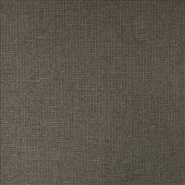 Briarwood Eclipse by Kasmir Fabric 5101 80% Polyester 20% Acrylic CHINA 27,000 Wyzenbeek Double Rubs H: N/A, V: N/A 55 - Fabric Carolina - Kasmir