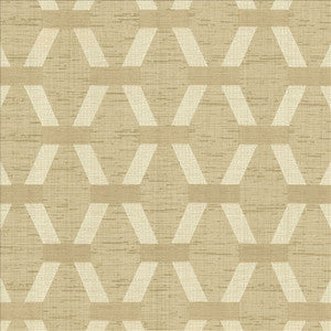 Brice Raffia by Kasmir Fabric