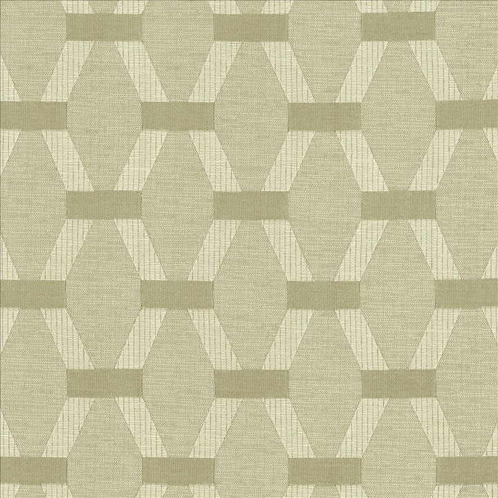 Brice Silver Sage by Kasmir Fabric 5153 55% Polyester
28% Cotton
17% Viscose
 INDIA 36,000 Wyzenbeek Double Rubs </p><p>Repeat: Horizontal: 5 2/8 inches and Vertical: 7 2/8 inches 56 - Fabric Carolina -