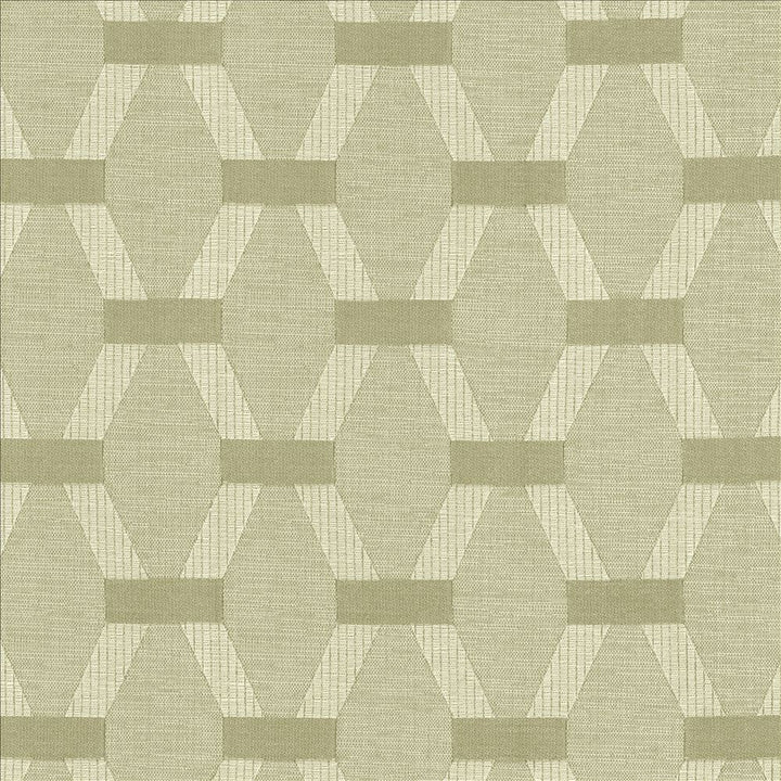 Brice Silver Sage by Kasmir Fabric 5153 55% Polyester
28% Cotton
17% Viscose
 INDIA </p><p>Repeat: Horizontal: 5 2/8 inches and Vertical: 7 2/8 inches 56 - Fabric Carolina -
