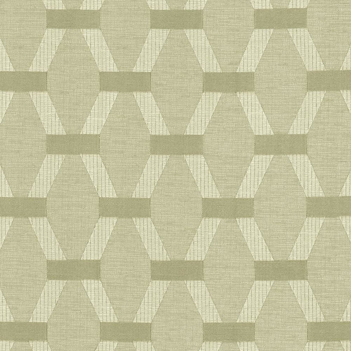 Brice Silver Sage by Kasmir Fabric 5153 55% Polyester
28% Cotton
17% Viscose
 INDIA </p><p>Repeat: Horizontal: 5 2/8 inches and Vertical: 7 2/8 inches 53 - Fabric Carolina -
