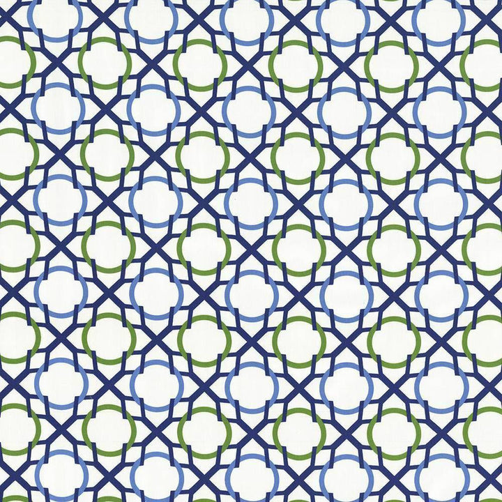 Bridled Luna by Kasmir Fabric 5072 100% Cotton USA 51,000 Wyzenbeek Double Rubs H: 6 6/8 inches, V:6 6/8 inches 54 - Fabric Carolina - Kasmir