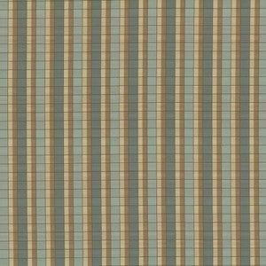 Bridlewood Pond by Kasmir Fabric