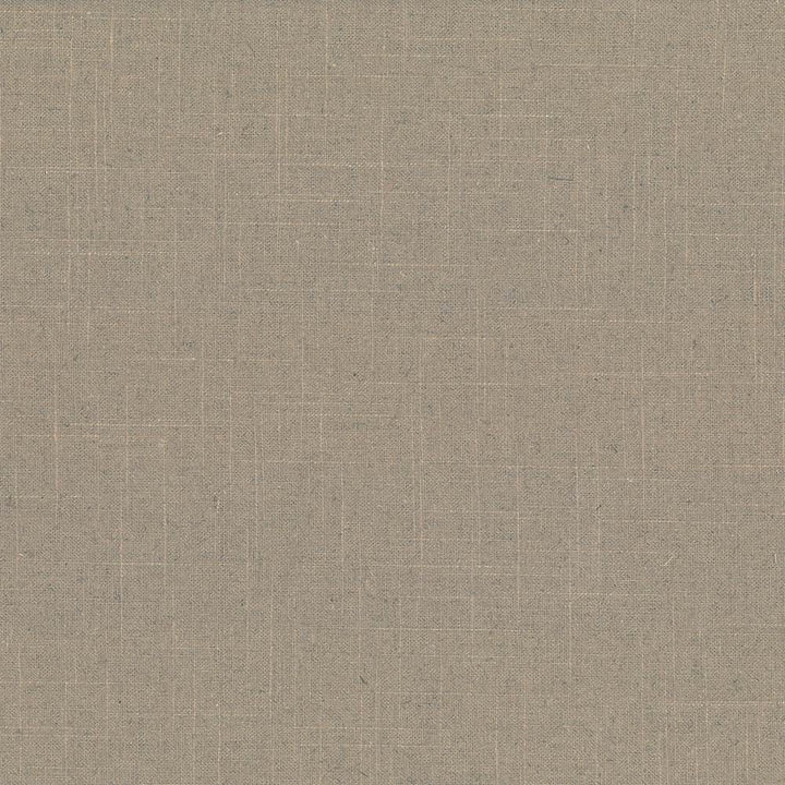 Brigadoon Acorn by Kasmir Fabric 5048 55% Linen
45% Rayon
 CHINA </p><p>Repeat: Horizontal: N/A and Vertical: N/A 54 - 55 - Fabric Carolina -