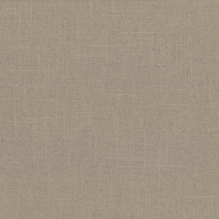 Brigadoon Acorn by Kasmir Fabric 5048 55% Linen
45% Rayon
 CHINA </p><p>Repeat: Horizontal: N/A and Vertical: N/A 54 - 55 - Fabric Carolina -