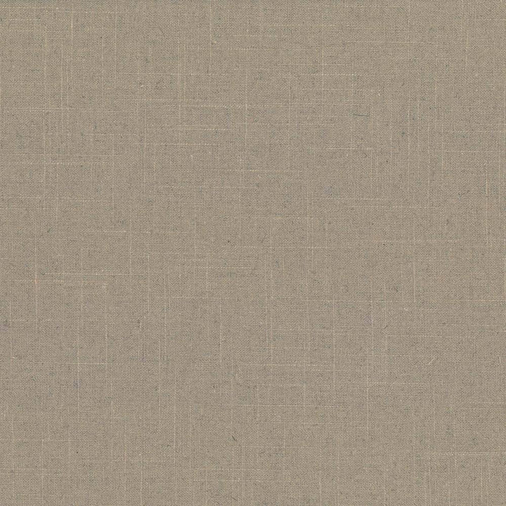 Brigadoon Acorn by Kasmir Fabric 5048 55% Linen 45% Rayon CHINA 12,000 Wyzenbeek Double Rubs H: N/A, V:N/A 54 - 55 - Fabric Carolina - Kasmir