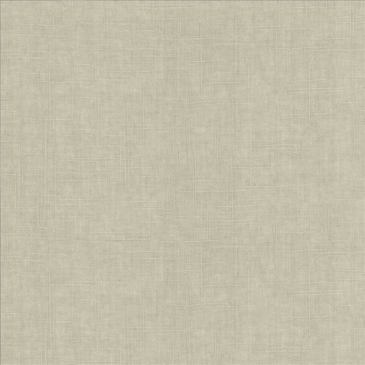 Brigadoon Aloe by Kasmir Fabric 5175 55% Linen
45% Rayon
 CHINA </p><p>Repeat: Horizontal: N/A and Vertical: N/A 54 - 55 - Fabric Carolina -