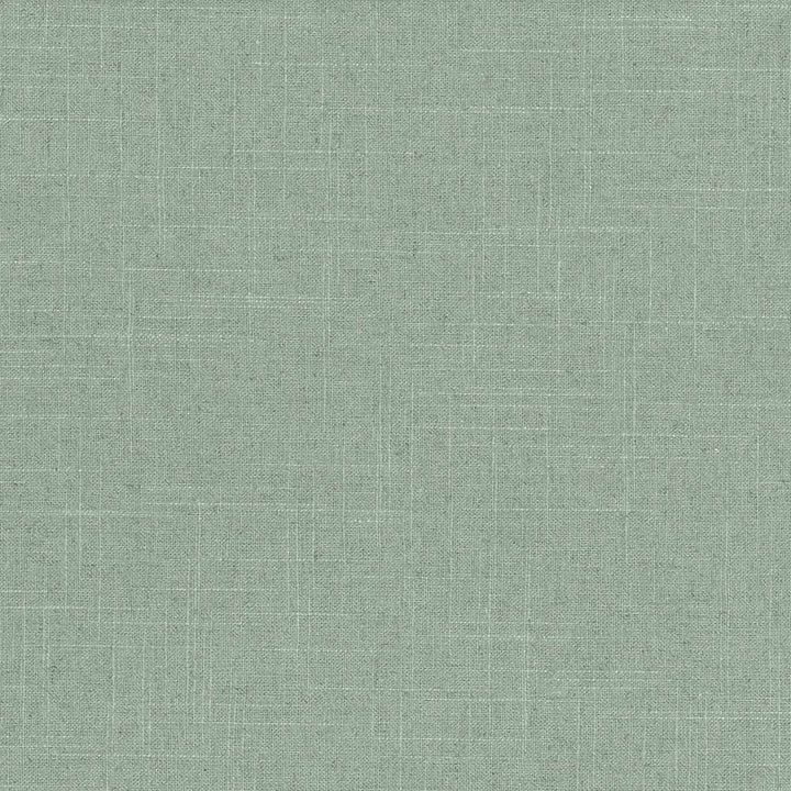 Brigadoon Aquamarine by Kasmir Fabric 5048 55% Linen
45% Rayon
 CHINA 12,000 Wyzenbeek Double Rubs Horizontal: N/A and Vertical: N/A 54 - Fabric Carolina -
