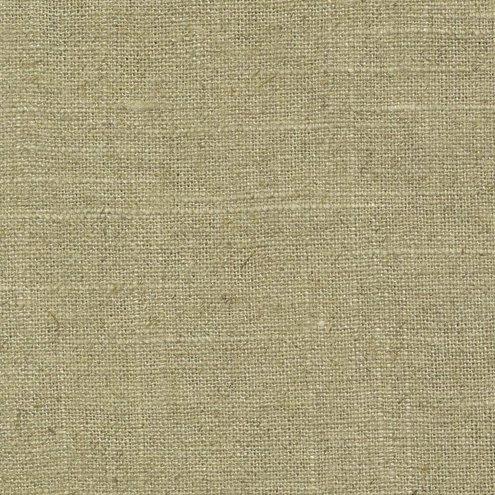 Brigadoon Bamboo by Kasmir Fabric 1377 55% Linen 45% Rayon CHINA 12,000 Wyzenbeek Double Rubs H: N/A, V:N/A 54 - 55 - Fabric Carolina - Kasmir