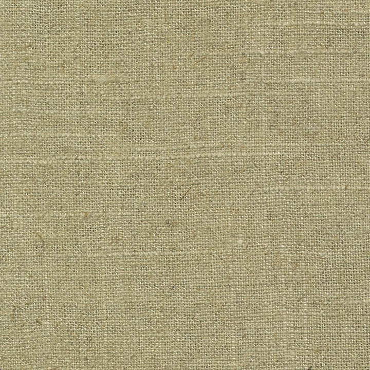 Brigadoon Bamboo by Kasmir Fabric 1377 55% Linen 45% Rayon CHINA 12,000 Wyzenbeek Double Rubs Horizontal: 0 Inches and Vertical: 0 Inches 54 - 55 - Fabric Carolina -