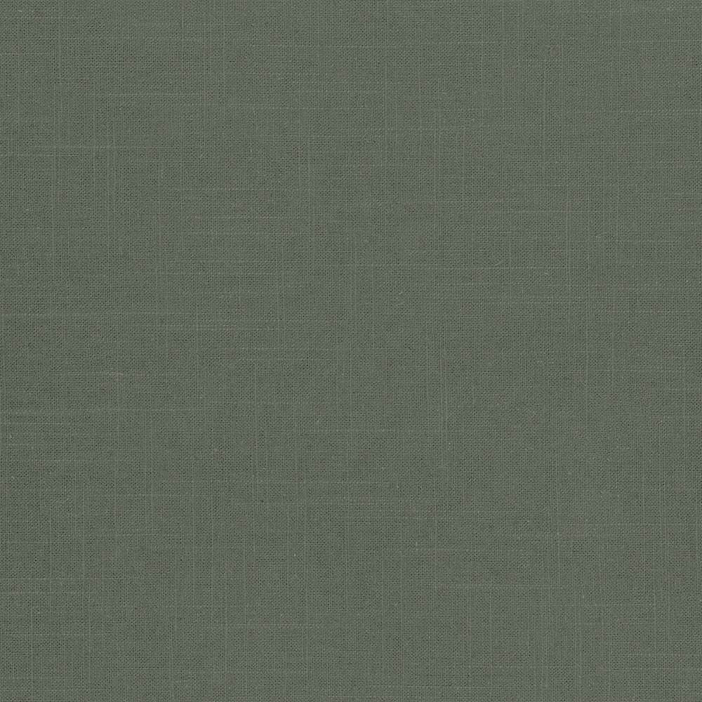 Brigadoon Basil by Kasmir Fabric 5048 55% Linen
45% Rayon
 CHINA 12,000 Wyzenbeek Double Rubs Horizontal: N/A and Vertical: N/A 54 - Fabric Carolina -