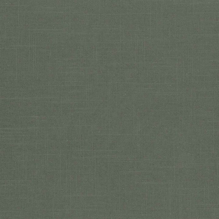 Brigadoon Basil by Kasmir Fabric 5048 55% Linen 45% Rayon CHINA 12,000 Wyzenbeek Double Rubs Horizontal: 0 Inches and Vertical: 0 Inches 54 - 55 - Fabric Carolina -