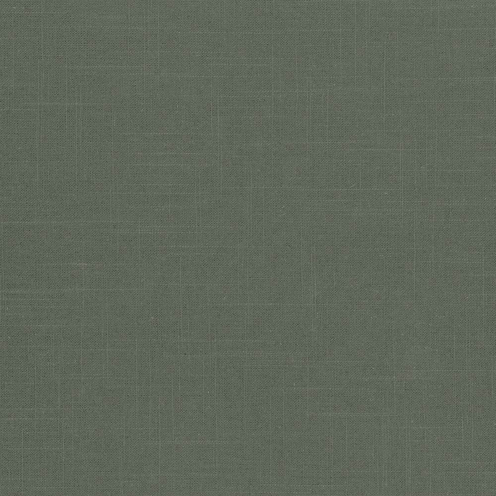 Brigadoon Basil by Kasmir Fabric 5048 55% Linen
45% Rayon
 CHINA </p><p>Repeat: Horizontal: N/A and Vertical: N/A 54 - 55 - Fabric Carolina -