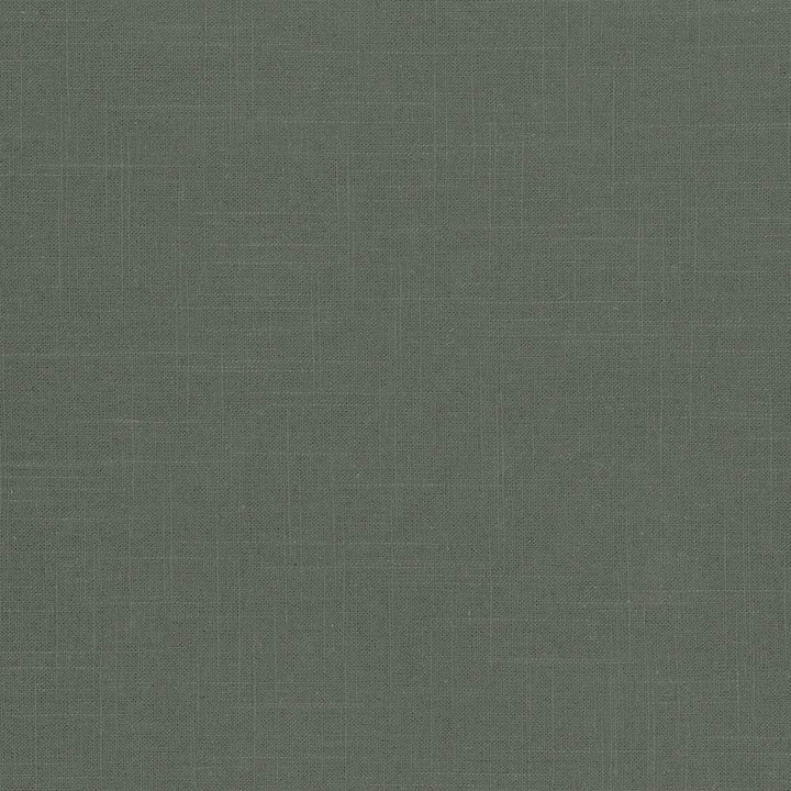Brigadoon Basil by Kasmir Fabric 5048 55% Linen
45% Rayon
 CHINA </p><p>Repeat: Horizontal: N/A and Vertical: N/A 54 - 55 - Fabric Carolina -